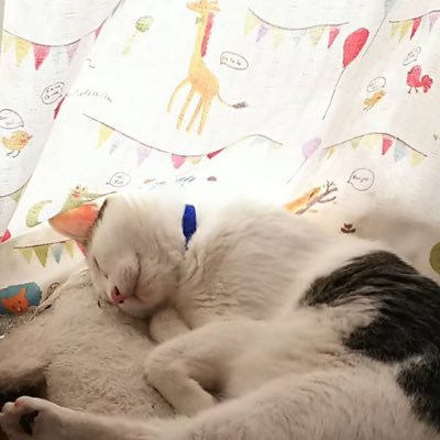 ennさんのプロフィール画像