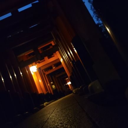 ねこたさんのプロフィール画像