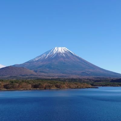 uniqs777's profile picture. 富士山大好き。
自然と植物の写真。
その他諸々。