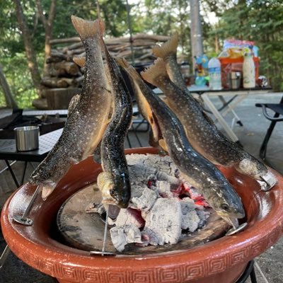 Yoshi97240948's profile picture. a