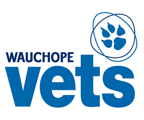 WauchopeVets's profile picture. Hoping to provide some light hearted veterinary advice and insights! Full time small and large animal Vet, servicing Wauchope and the Hastings Valley.