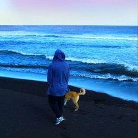 plombir (@one_whole__) 's Twitter Profile