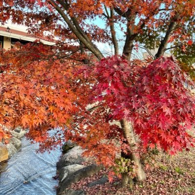 OklN8U0PJsfHaqQ's profile picture. 