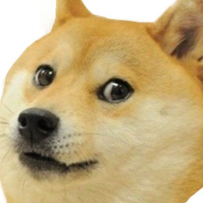 _DogeBot Profile Picture