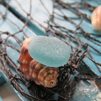 0831sazanami's profile picture. 