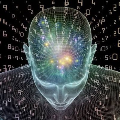 equipecarol7's profile picture. 