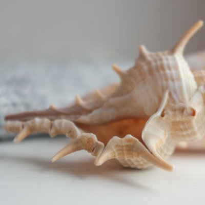 shizuito0831's profile picture. 