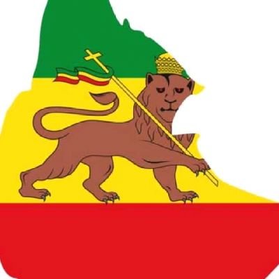 AlexAlene4's profile picture. Playing and working with friends and looking news