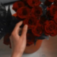 мєѕнσ ꨄ (@mesholk11) 's Twitter Profile