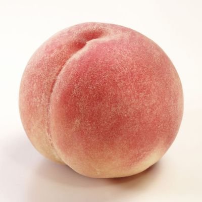 noshellen's profile picture. 페퍼톤스의 모든 행보를 응원💙