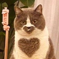 ²⁹ (@wine_e_e) 's Twitter Profile