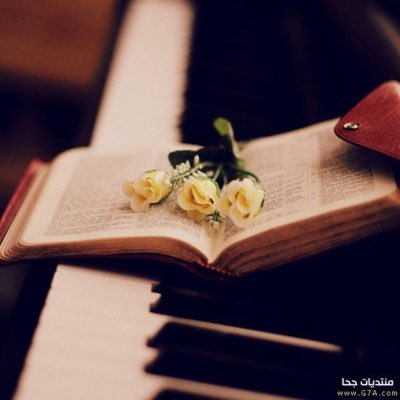oHdYHTQx6iUatBQ's profile picture. الله اكبر