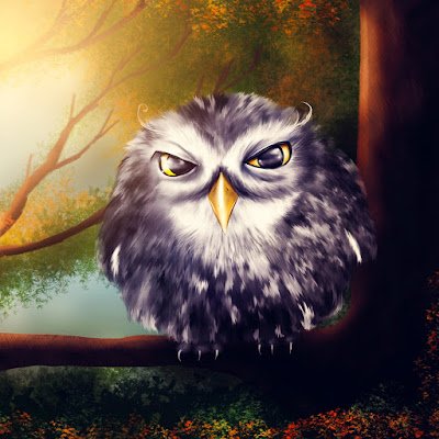 zhangyi29514256's profile picture. 真帳號