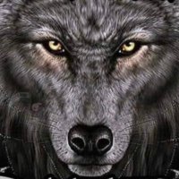 Bumblebee Man (@weakplayer2) 's Twitter Profile