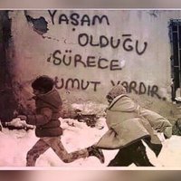 Gül🦂(@gulbdr13) 's Twitter Profile Photo