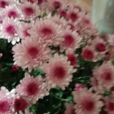 Sofi36474551's profile picture. 