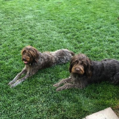 Idahome5543's profile picture. 