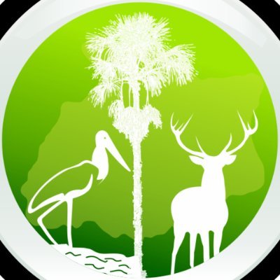 Promovemos la conservación de la biodiversidad de la Orinoquia mediante la investigación científica y el desarrollo de proyectos productivos sostenibles.🍃