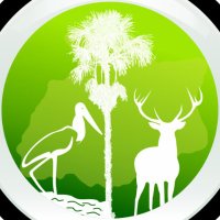 Fundación Orinoquia Biodiversa (@fob_org) 's Twitter Profile