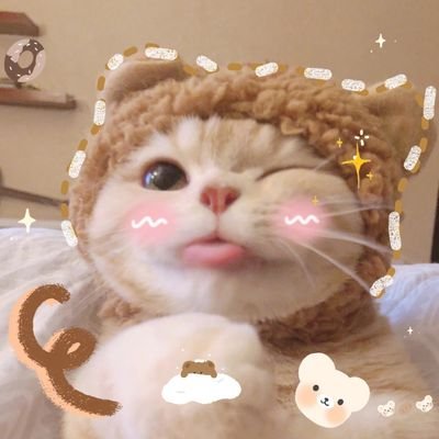 lvvvy2's profile picture. 