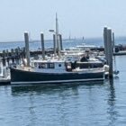 PsychRN12345678's profile picture. democratic socialist commie bastard...religion is psychosis...proud member of godless left...pro-choice AF