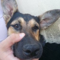 Brian (@briannmachado) 's Twitter Profile