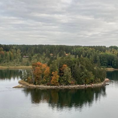 Rheinbett's profile picture. 