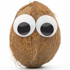 seancoconut Profile Picture