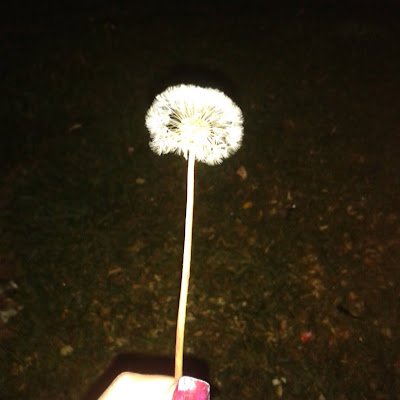 mervekaya2495's profile picture. Çok düşünme, sadece eğlenmene bak.