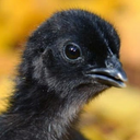 Juan Espin - @JuanEsp18747484 - Twitter