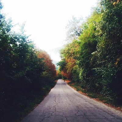 Newestbass's profile picture. What am I?