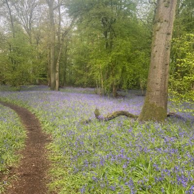 SWAesthetics78's profile picture. 