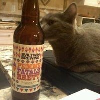 Brett Steenbarger (@steenbab8) 's Twitter Profile