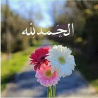 سفيان (مصعب أحمد معاذ) (@mossaabdz2006) 's Twitter Profile Photo