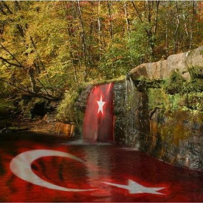 Emrealk99472708's profile picture. 