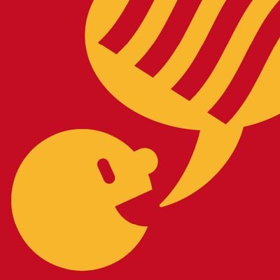 coritorroja's profile picture. Fer camí