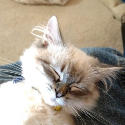 lightnet011235's profile picture. so old