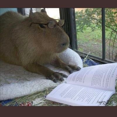 brainrotdiva's profile picture. mildly cursed she/they 🌈 thirty seconds from spiraling