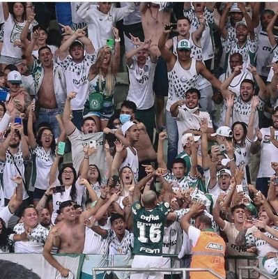 PALMEIRAS 🐷