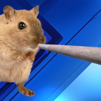 MasonWikfors's profile picture. 