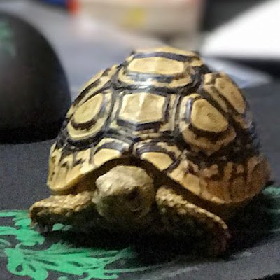 WaiHinLi2's profile picture. 