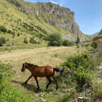 Hind AlMohaisin (@hind_amoh) 's Twitter Profile Photo