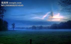 Bvewv's profile picture. 