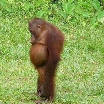 Alekay48344000's profile picture. yo:)