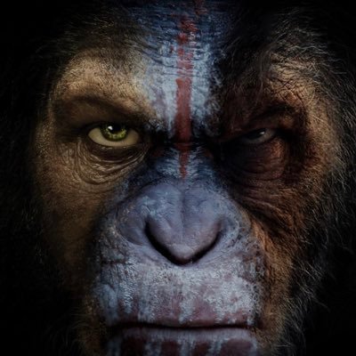 HouseApes's profile picture. Day 1 APE - AMC & GME #MarketTransparency #BanPFOF #IAMSTILLIN & #IAMSTILLHOLDING NFA