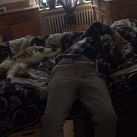EripnoESC (@veripno) 's Twitter Profile
