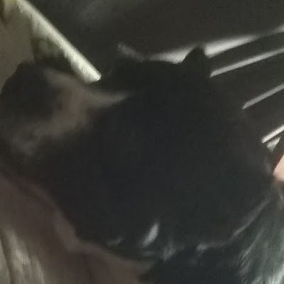 legion_darth's profile picture. 