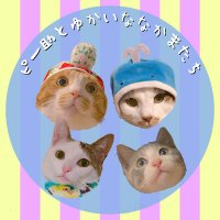 みぃ(@mamitta7172) 's Twitter Profile Photo