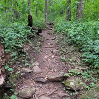 redclayGT (@redclaygt) 's Twitter Profile