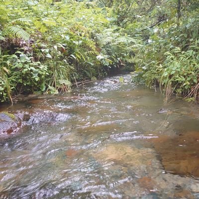 RKjEsW5K8ZNE3dR's profile picture. 藤田麻衣子さん大好き💓 うたプリ 2.5次元 アニメ・声優💕 SnowMan*´ㅅ`)ﾀﾞｲｽｷ♥